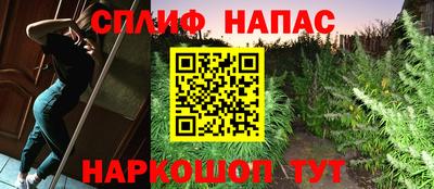 Альфа ПВП Кимры