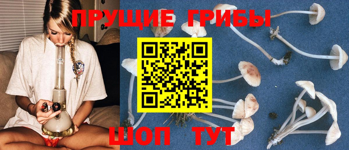 Псилоцибиновые грибы прущие грибы Каспийск