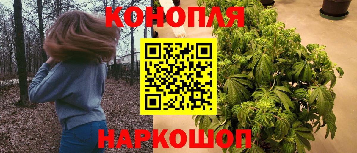 Шишки марихуана марихуана  Каннабис планчик  Вход с VPN  Каспийск 
